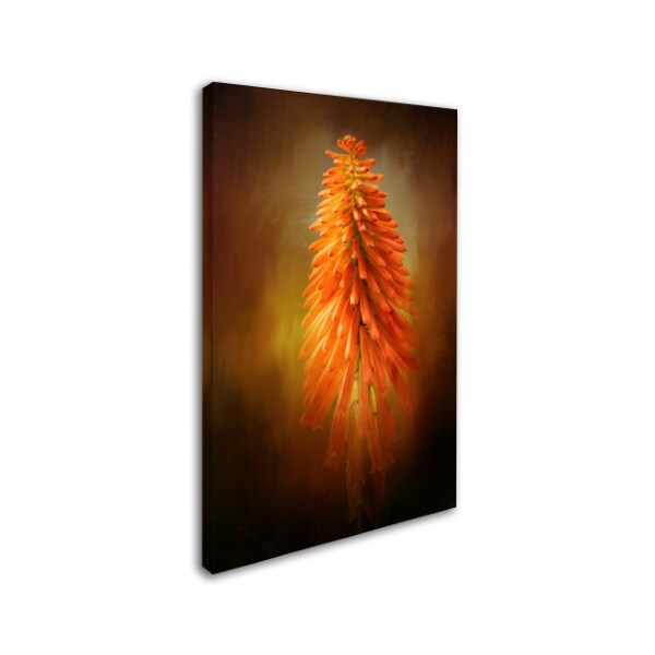 Jai Johnson 'Orange Blast In The Garden' Canvas Art,30x47